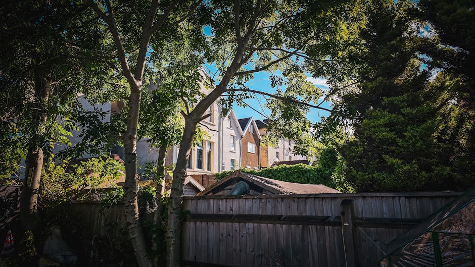 A residential scene showing the upper floors of a row of modern houses with large windows and pitched roofs, viewed through the branches and leaves of several trees in the foreground. The trees have white bark and green foliage, partially obscuring the buildings. A wooden fence with visible horizontal panels separates the garden area from the street. The sky above is clear and blue, suggesting daytime. This image is related to home relocation or house removals, illustrating the exterior environment of a property involved in a moving process, which a professional house removal service like Man With a Van Kilburn might handle during packing, transport, and loading activities.
