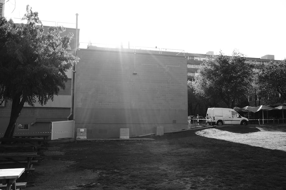 The black and white photograph depicts a rear loading area adjacent to a building, where a man with various packed boxes and wrapped furniture items is engaged in a home relocation process. Several cardboard boxes of different sizes, some sealed with packing tape, are arranged on the ground near a moving trolley and a large, padded furniture blanket. The loading bay area is designated for van loading, with a white removal van parked on the paved surface just beyond the building’s wall, ready for furniture transport. The van’s rear doors are open, indicating active loading or unloading. The scene is illuminated by bright sunlight, casting shadows across the grass and concrete, and highlighting the practical aspects of packing and moving operations. To the left, outside the main work zone, a park-like setting with benches, trees, and outdoor tents or canopies can be seen behind the van. The environment reflects the rules at Kilburn Park station for delivery vehicles, and the image captures a professional removal company's activity, such as Man With a Van Kilburn, demonstrating the loading process involved in house removals and furniture transport.
